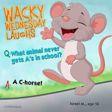 Wacky Wednesday Wacky Wednesday Jokes For Kids Wednesday Humor