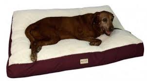 Check spelling or type a new query. Best Dog Beds For Large Dogs And For Labs Reviewed Updated 2020