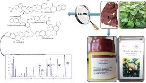 Image result for Neorautanenia mitis