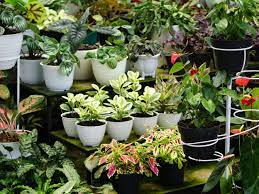 Check spelling or type a new query. 7 Materials Used For Plant Containers