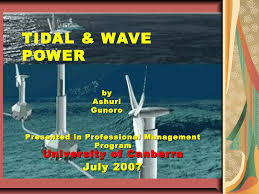 Image result for Tidal Wave 2005 Tiburon