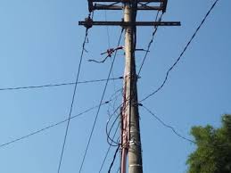 Yang berprofesi dari dokter hingga pekerja biasa sampai mahasiswi. Media Advokasi Tajam Dan Akurat Mengungkap Fakta