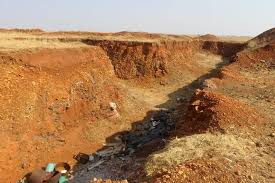 Image result for Chascanum adenostachyum