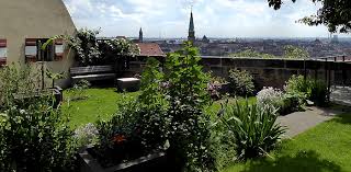 Book basel merian garten hotels for your trip and get fantastic deals and discounts from trip.com! Bayerische Schlosserverwaltung Kaiserburg Nurnberg Burggarten Maria Sibylla Merian Garten