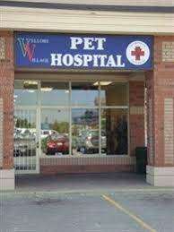 Read verified and trustworthy customer reviews for vellore village pet hospital or write your own review. Vellore Village Pet Hospital Veterinarians In Woodbridge Ontario Orangeville Com