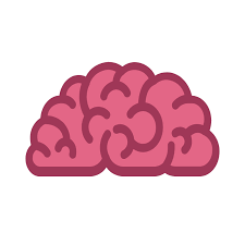 39 wk → t (d) 39 Weeks Pregnant Pregnancy Week By Week