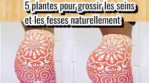 5 Plantes Pour Grossir Les Fesses Et Les Seins Naturellement Youtube