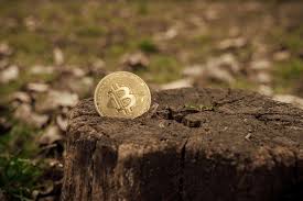 Be aware that twitter, etc. What Is Bitcoin S Environmental Impact And What Are The Solutions