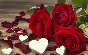 Red Rose Flowers Love Valentine S Day Three Red Flowers Hd Wallpaper In 2020 Rose Flower Wallpaper Flower Wallpaper Love Rose Flower