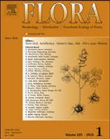 Image result for Crotalaria heidmannii