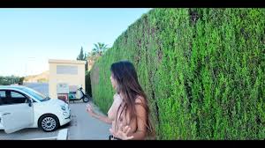 Bella Duenas Nudes Porn Videos: XXX 2025