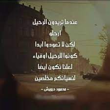 صور مضحكة صور اطفال صور و حكم موقع صور arabic quotes quotations funny quotes perfection quotes