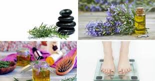 Infine dovremo filtrare l'infuso ottenuto. Rosmarino La Pianta Terapeutica Che Fa Dimagrire Cura Ansia Caduta Dei Capelli E Memoria Rimedio Naturale
