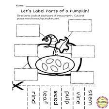 It helps us understand who we are as humans and what we need in order to survive. Pumpkin Science Worksheets By The Blooming Mind Tpt