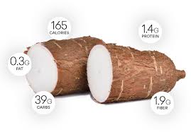 It's native to south america and frequently consumed the yuca root is a great source of starchy carbohydrates. Yuca J C Tropicals