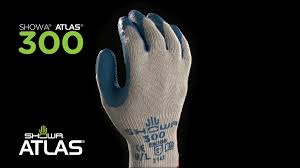 Image result for Atlas 300