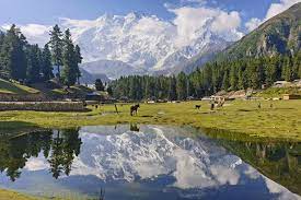 Check spelling or type a new query. Reisebericht Pakistan Warum Eigentlich Pakistan Diamir Erlebnisreisen Statt Traumen Selbst Erleben