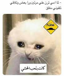 pin by 𝑩𝒂𝒔𝒎𝒂𝒍𝒂 𝑨𝒎𝒂𝒓𝒂 on نكت funny jok arabic funny funny comments