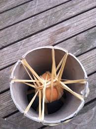 The Great Egg Drop The Crossed Cow