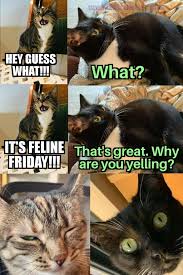 Smirghelul este de mai multe feluri, iar mai jos aveti o prezentare orientativa pentru granulatia smirghelului in functie de glet Feline Friday Catmemes