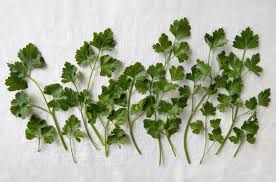 Welcome to parsley health's member portal. Parsley Benefits Side Effects And Preparations