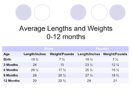 3 6 Month Weight Chart 6 Months Baby Food Chart With