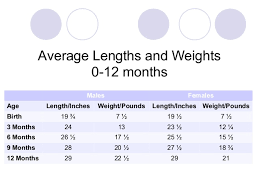 3 6 month weight chart 6 months baby food chart with