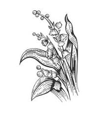 Lily Of The Valley Line Drawing Vector Images Over 100 11x15 original contour line drawing on 140 lb. vectorstock