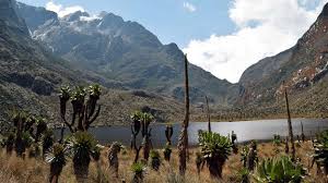 It lies along uganda's border with the democratic republic of the congo (drc) and borders the drc's virunga national park, also a unesco world heritage site, for 50 km (31 mi). Bbc Travel Rwenzori Mountains Africa S Surreal Mountains Of The Moon
