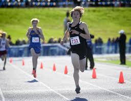 High school cross country: CV's Wisniewski leads strong area contingent at  state meet