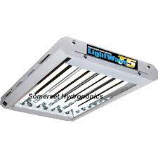 Incandescent light bulbs (old fashioned light bulbs) are not suitable for growing marijuana! Maxibright T5 Lightwave Grow Lights Fluorescent Grow Lights Somerset Hydroponics
