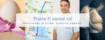 During in vitro fertilization, eggs are removed from mature follicles within an ovary (a). Fertilizare In Vitro Cu Ovocite Donate Bucuresti Dacia Medical Center