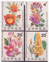 Image result for Thesium bequaertii