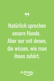 Hundeliebe Hundezitat Hund Zitat Hundeliebe Hundespruche