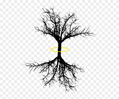 Download Free Svg Cut Files Drawings Of Dead Trees Hd Png Download 695x695 86068 Pngfind