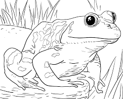 Printable zoo animal coloring pages. Zoo Animals Coloring Pages Best Coloring Pages For Kids