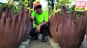 Katil bunga dari tayar sangat tahan terhadap keadaan cuaca yang tidak baik dan mampu mengekalkan penampilan yang menarik, berair selama beberapa tahun (dengan syarat bahan cat berkualiti tinggi digunakan). Tuala Buruk Buat Pasu