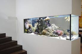Raumteiler Aquarium Schrank Fur Die Technik Des Aquariums In 2020 Fish Tank Wall Wall Aquarium Amazing Aquariums