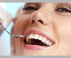 admin, Author at silver creek dental & vision care