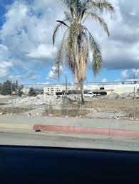 Image result for Green 1961 Montgomery Ward