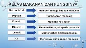 Sains Tahun 3 Unit 3 Kelas Makanan Youtube