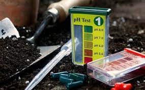 Check spelling or type a new query. Soil Ph Testers Are They Accurate Garden Myths