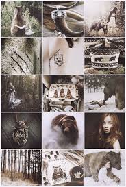 Bear Witch Aesthetic Witch Aesthetic Art Inspiration Book Of Shadows