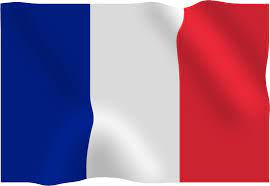 Search more hd transparent france flag image on kindpng. France Flag Png Image Purepng Free Transparent Cc0 Png Image Library