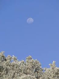 0429 995 121 (08) 9965 7600; Sunset At Tarcoola Beach Picture Of Tarcoola Beach Geraldton Tripadvisor