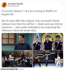 Cobra Kai Season 1 And 2 Will Move To Netflix On August 28 With Season 3 In The Works Daily Mail Online