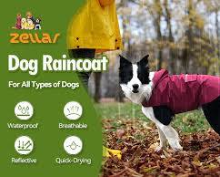 different types of dog raincoatsの画像