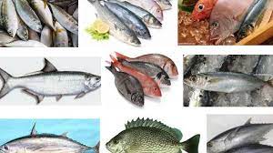 Trik menggoreng ikan yang unik, cara menggoreng ikan krispy. Ikan Laut Konsumsi Berikut Nama Dan Gambarnya