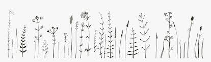 To make finding the best doodle for you easier, we have created this ultimate list of doodles for journals. Flower Doodle Designs Bullet Journal Bullet Journal Flower Doodles Hd Png Download Kindpng