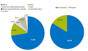 Part 1 Overviews Of The Report And The Black Population